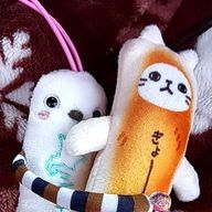 もふもふの畑❀🐈‍⬛（冬眠中）さんのアイコン画像