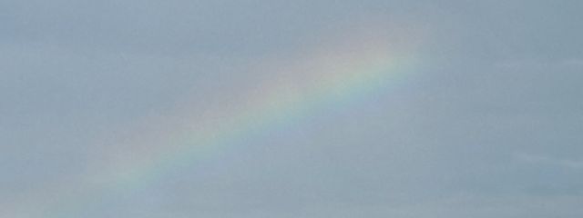 しおにぎりさんの壁紙画像