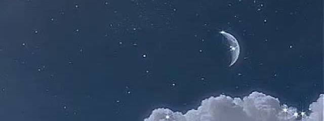 透好さんの壁紙画像