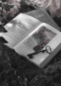 　ೀ　𝗧𝗮𝗴　➷ ⸝⸝꙳