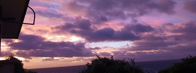 麗央（Rio）🌙🍀︎❄️さんの壁紙画像