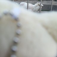 　　👼🌨️🍒さんのアイコン画像