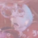 (なまえ)