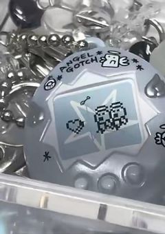 STPR のあの二人、、双子でした!?