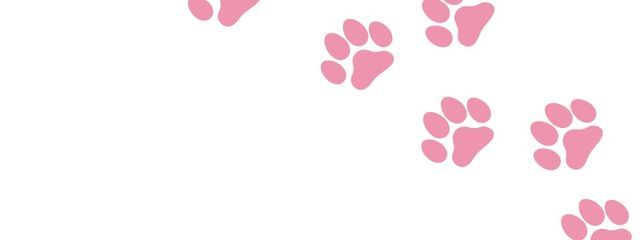 かぴばらさんの壁紙画像