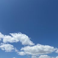 らずさんのアイコン画像