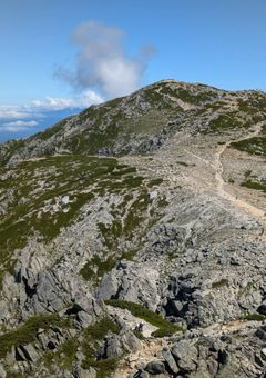 生存報告&日記的な？