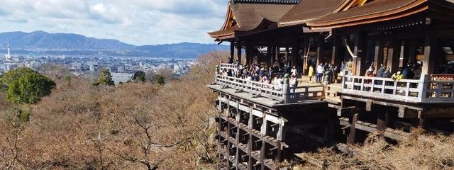 琉夏さんの壁紙画像