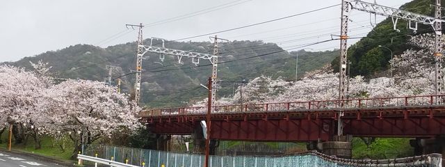 琉夏さんの壁紙画像