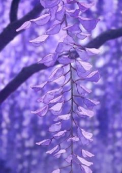 # 最終選別なぜか"ループ"してた .