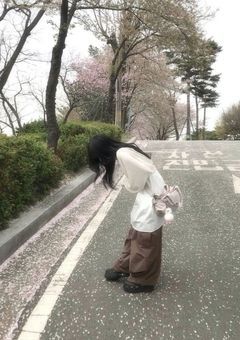 サクラサキ奮闘記