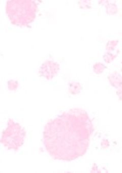 〜素材配布&依頼場所〜