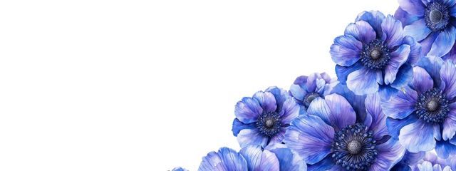 花の妖精　あねもね。さんの壁紙画像