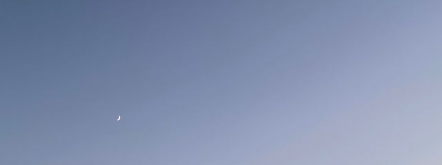 *⋆✩ Mizuki ✩⋆*さんの壁紙画像