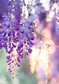 　@　自分の事ずっと鬼だと思ってました。