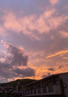 り ~ だ ~ 、 女体化 しちゃいました !?