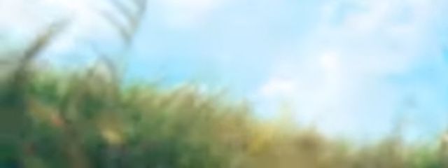 cocoro #推しの全てが尊いさんの壁紙画像