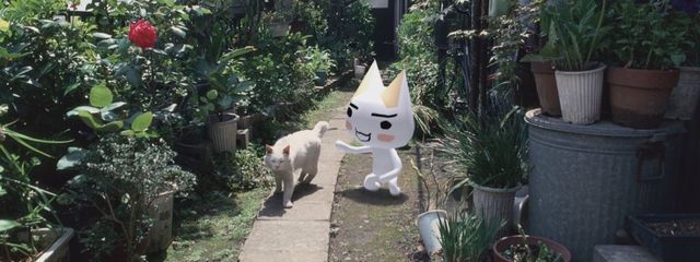 低浮上？あおめさんの壁紙画像