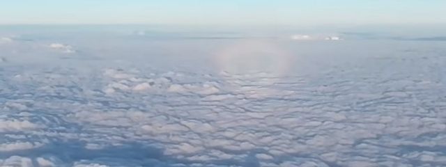 ロミさんの壁紙画像