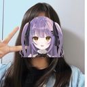 夏猫
