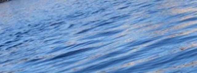 黒宮@ふてーきとーこーさんの壁紙画像