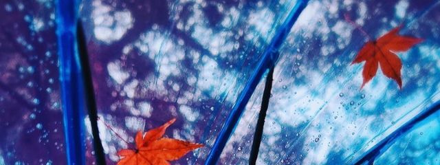 弥生さんの壁紙画像