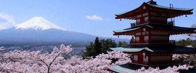 稲荷　楓（受験生で1年休止予定）さんの壁紙画像