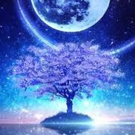 夜空 咲夜□□□さんのアイコン画像