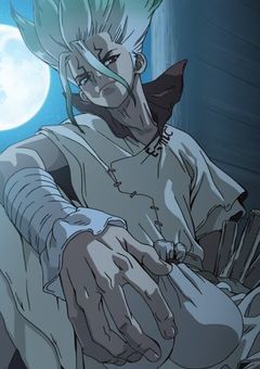 石の世界の医師,