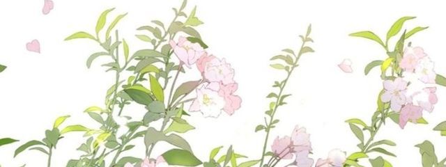 Maorin さんの壁紙画像