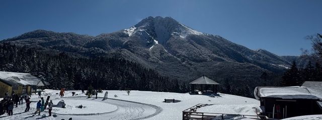 ぶんぶんさんの壁紙画像