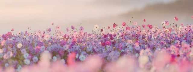 ユキ*❄️·̩͙@フォロバ絶対✊´-さんの壁紙画像