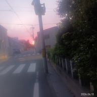༘⋆ ꙳ ꕀ  あおい  ‧₊˚. ⸝⸝さんのアイコン画像