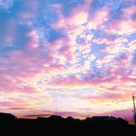 桜時計🌸⏳️さんのアイコン画像