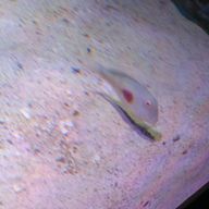 終日さんのアイコン画像