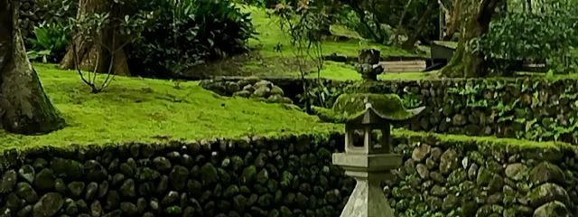 なぎ🎼🍍＠断固同担拒否＠リアコさんの壁紙画像