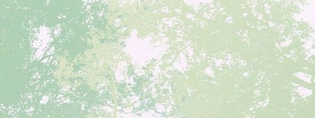 狗煴さんの壁紙画像