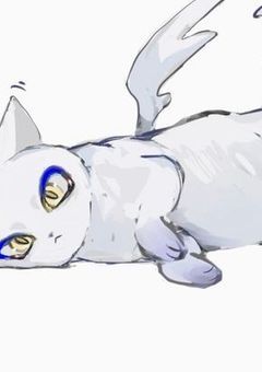 　⋆͛‪‪⋆͛ 𝒕𝒂𝒈