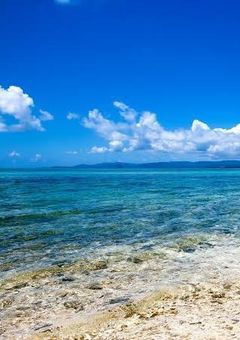 【 めめぷら 】# 漂流。