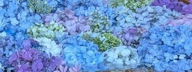 らったたさんの壁紙画像