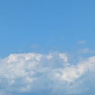 弥生さんのアイコン画像