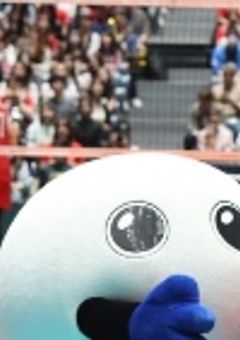 　うちのわんちゃん　