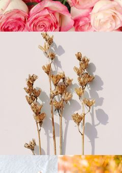 愛されるの意味