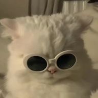 sakuさんのアイコン画像