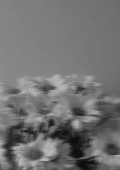 貴方のことを知りたいから。