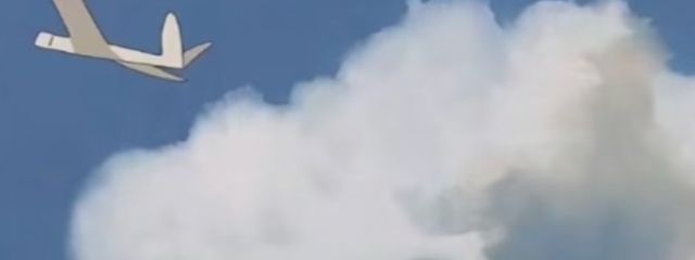 ずんだもちさんの壁紙画像