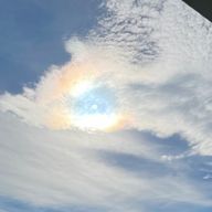 三葉さんのアイコン画像