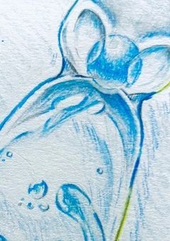 お絵描き投稿!