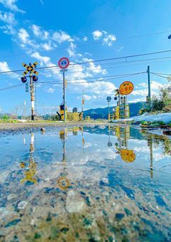 蝉の声が聞こえる日々に