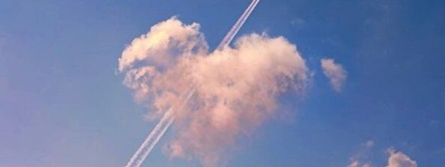 めめさんの壁紙画像